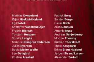 挪威11月世预赛名单：哈兰德、鲍勃、瑟尔洛特在列，厄德高伤缺