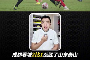 王大雷的红牌应不应该？袁甲：有很大的讨论价值